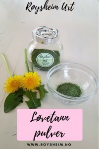 Løvetannpulver