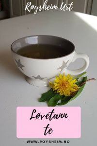 Pinterest løvetannte