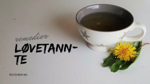 løvetannte