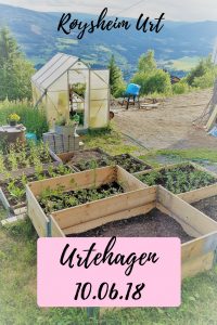 Urtehagen i Røysheim