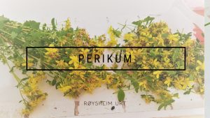 Perikum