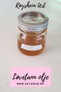 Løvetannolje