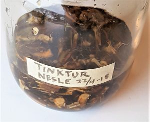 Brenneslerottinktur