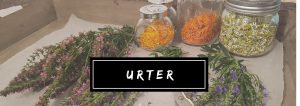 Urter