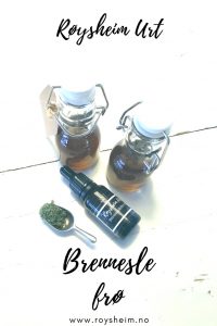 Brenneslefrø
