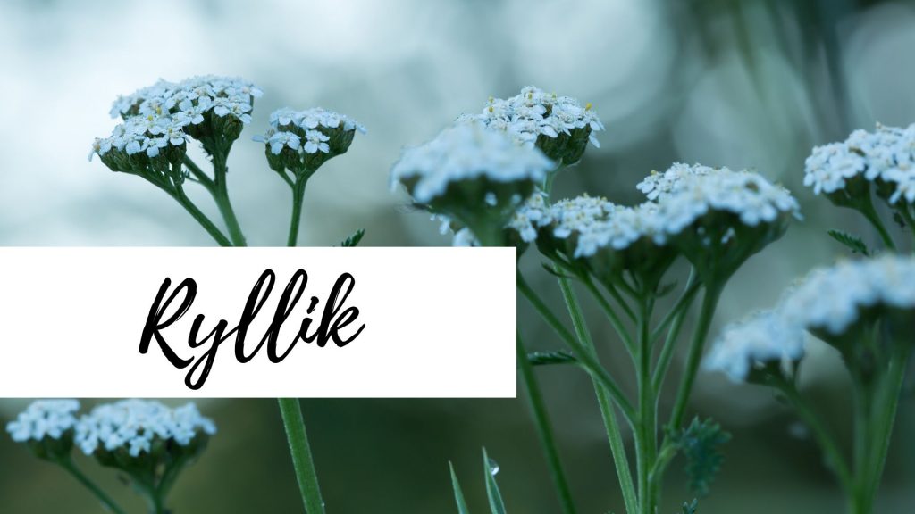 Ryllik