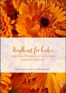 PDF Ringblomst for huden