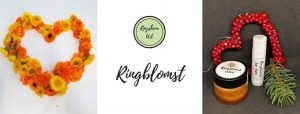 Ringblomst til jul