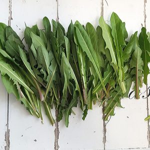 løvetannblad