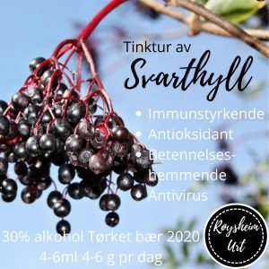 Tinktur av svarthyllbær