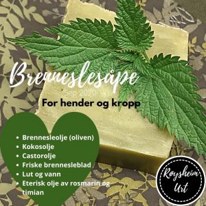 Såpe med brennesle (hjemmelaget)
