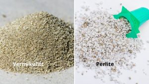 vermikulitt og perlite