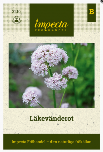 Frø legevendelrot