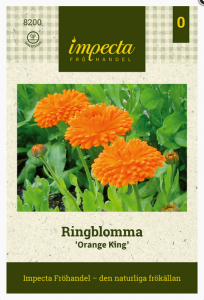 Ringblomst Orange King