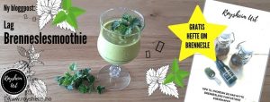 brenneslesmoothie