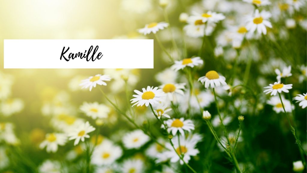 Kamille