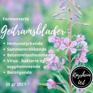 Fermenterte geitramsblader