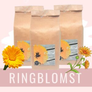 RIngblomst tørket
