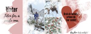 vinter