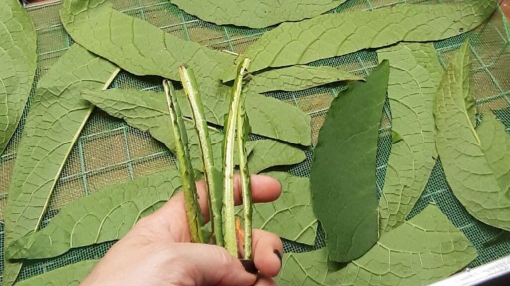 Valurt for utvortes bruk til smerter i muskler, ledd og hudproblemer