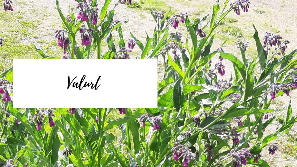 Valurt