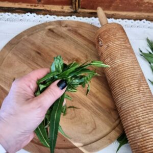 Geitrams blader ivan-te fermentert