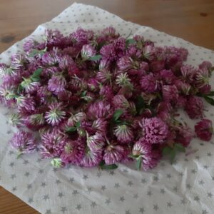 Rødkløversirup (saft)