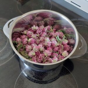 Rødkløversirup (saft)