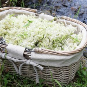 mjødurtsaft mjødurtsirup