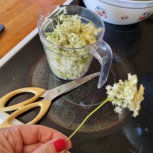 mjødurtsirup mjødurtsaft