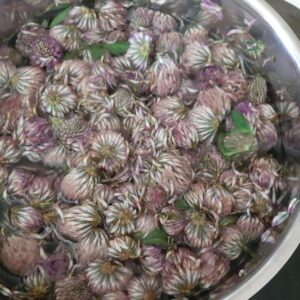 Rødkløversirup (saft)