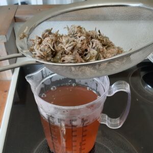 Rødkløversirup (saft)