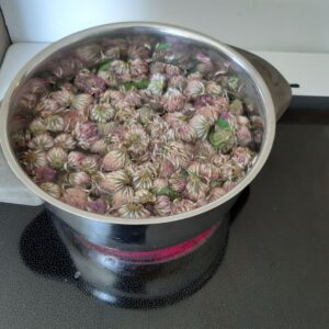 Rødkløversirup (saft)