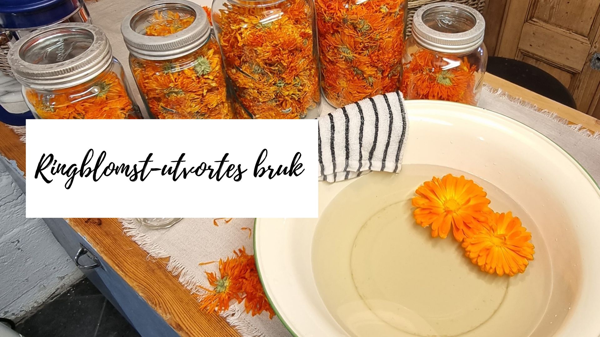 Ringblomst uttrekk i vann til utvortes bruk